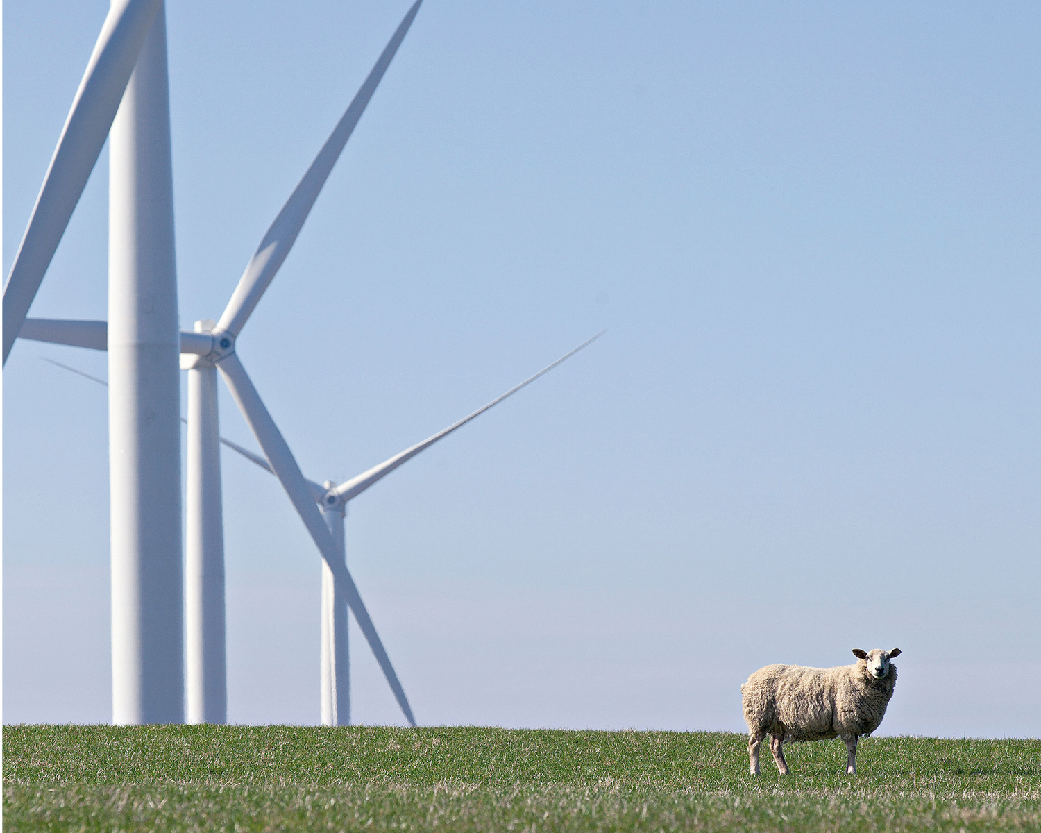 wind farm 